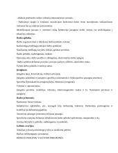 Profesinės rizikos vertinimas darbo vietose, pavojų identifikavimas 13 puslapis