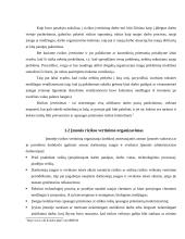 Profesinės rizikos vertinimas darbo vietose, pavojų identifikavimas 6 puslapis