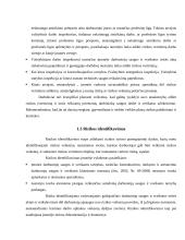 Profesinės rizikos vertinimas darbo vietose, pavojų identifikavimas 7 puslapis