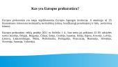 Europos prokuratūra 2 puslapis