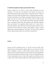 Profesinės sąjungos įtaka darbo rinkai 13 puslapis