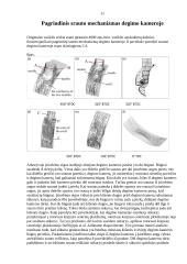 Įvairių parametrų įtaka periferinių rotorinių variklių įsiurbimo srauto laukui 10 puslapis
