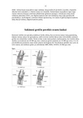 Įvairių parametrų įtaka periferinių rotorinių variklių įsiurbimo srauto laukui 11 puslapis