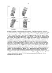 Įvairių parametrų įtaka periferinių rotorinių variklių įsiurbimo srauto laukui 12 puslapis