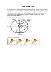 Įvairių parametrų įtaka periferinių rotorinių variklių įsiurbimo srauto laukui 3 puslapis