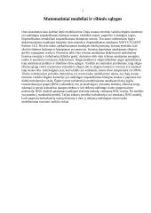 Įvairių parametrų įtaka periferinių rotorinių variklių įsiurbimo srauto laukui 6 puslapis