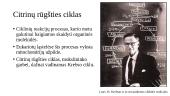 H. Krebsas ir M. Kalvinas 2 puslapis