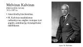 H. Krebsas ir M. Kalvinas 4 puslapis