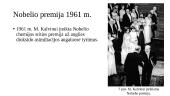 H. Krebsas ir M. Kalvinas 7 puslapis