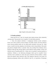 Profsąjungos įtaka darbo rinkoje 10 puslapis