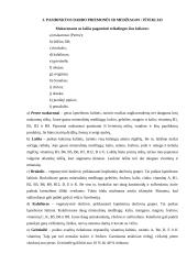Makaronai su lašiša. Technologijų mokyklinio brandos egzamino baigiamojo darbo aprašas 15 puslapis