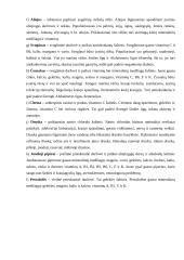 Makaronai su lašiša. Technologijų mokyklinio brandos egzamino baigiamojo darbo aprašas 16 puslapis