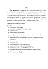 Makaronai su lašiša. Technologijų mokyklinio brandos egzamino baigiamojo darbo aprašas 6 puslapis