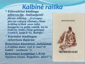 Maironis „Nuo Birutės kalno“ 11 puslapis