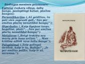 Maironis „Nuo Birutės kalno“ 12 puslapis