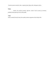 Projektas "Mirtis vaikams netinka" 4 puslapis