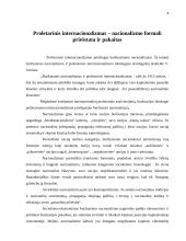 Proletarinis internacionalizmas – nacionalizmo formali priešstata ir pakaitas 4 puslapis