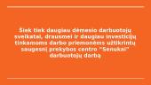 Darbų saugos ir sveikatos organizavimas prekybos centre „Senukai” 10 puslapis