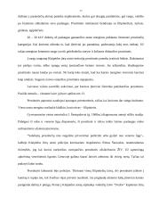 Prostitucijos priežastys ir pasekmės 17 puslapis