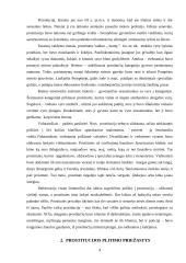 Prostitucijos ir prekybos moterimis problemos 4 puslapis