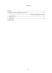 Prostitucijos prevencija 2 puslapis