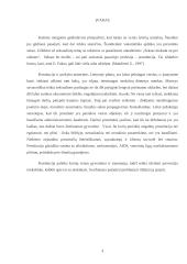 Prostitucijos prevencija 3 puslapis