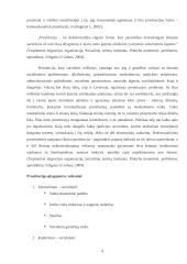 Prostitucijos prevencija 5 puslapis