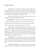 Atvejo vadyba globos centruose  3 puslapis