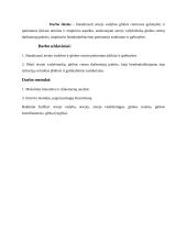 Atvejo vadyba globos centruose  8 puslapis