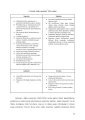 Inovacijų ir verslumo principų integravimas į pokyčių valdymą „Eglės sanatorijos” svetingumo sektoriaus organizacijoje 13 puslapis