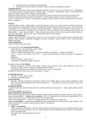 Psichiatrijos teorija 3 puslapis