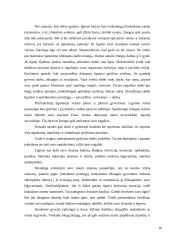 Psichinės sveikatos samprata 15 puslapis