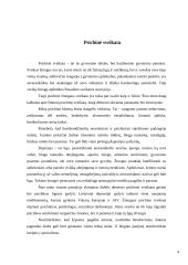 Psichinės sveikatos samprata 4 puslapis