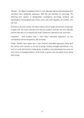 Apple cultivation and storage in Lithuania 13 puslapis