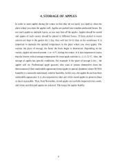 Apple cultivation and storage in Lithuania 9 puslapis