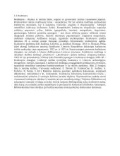 Praktikos ataskaita bibliotekoje 7 puslapis