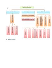 Praktikos ataskaita bibliotekoje 8 puslapis