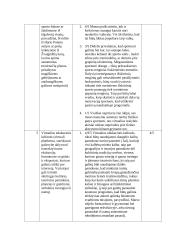 Verslo idėjos pagrindimas vadybiniu aspektu 4 puslapis