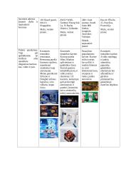 Verslo idėjos pagrindimas vadybiniu aspektu 6 puslapis