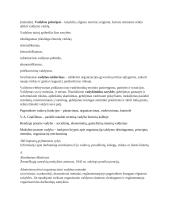Vadybos teorija 3 puslapis