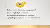 Skirtumai tarp atskirų plaukų atkarpų. Spalvos gylis, kryptis 2 puslapis