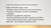 Skirtumai tarp atskirų plaukų atkarpų. Spalvos gylis, kryptis 4 puslapis