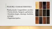 Skirtumai tarp atskirų plaukų atkarpų. Spalvos gylis, kryptis 6 puslapis