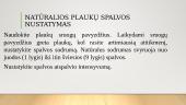 Skirtumai tarp atskirų plaukų atkarpų. Spalvos gylis, kryptis 9 puslapis