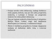 Gyventojų pajamų mokesčių analizė Baltijos šalyse 12 puslapis