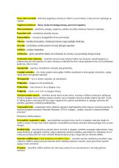 Teisės istorijos žodynėlis 2 puslapis