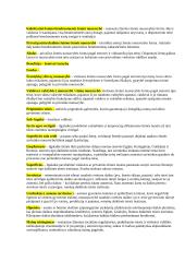 Teisės istorijos žodynėlis 3 puslapis