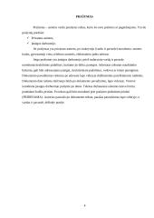 Raštvedybos reikalavimai 3 puslapis