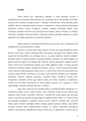 Realizmas ir antirealizmas 2 puslapis