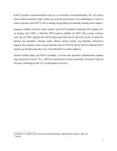 Regioniniai prekybiniai susitarimai 7 puslapis